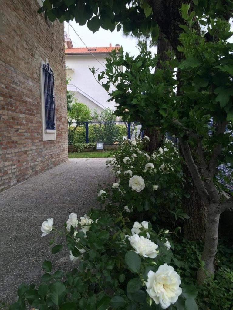 La Casa Della Cicogna Una Casa Al Mare Ideale Anche Per Gli Impegni Di Lavoro O Studio Villa Bellocchi Exteriör bild